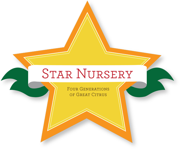 Star Nursery Belle Chasse